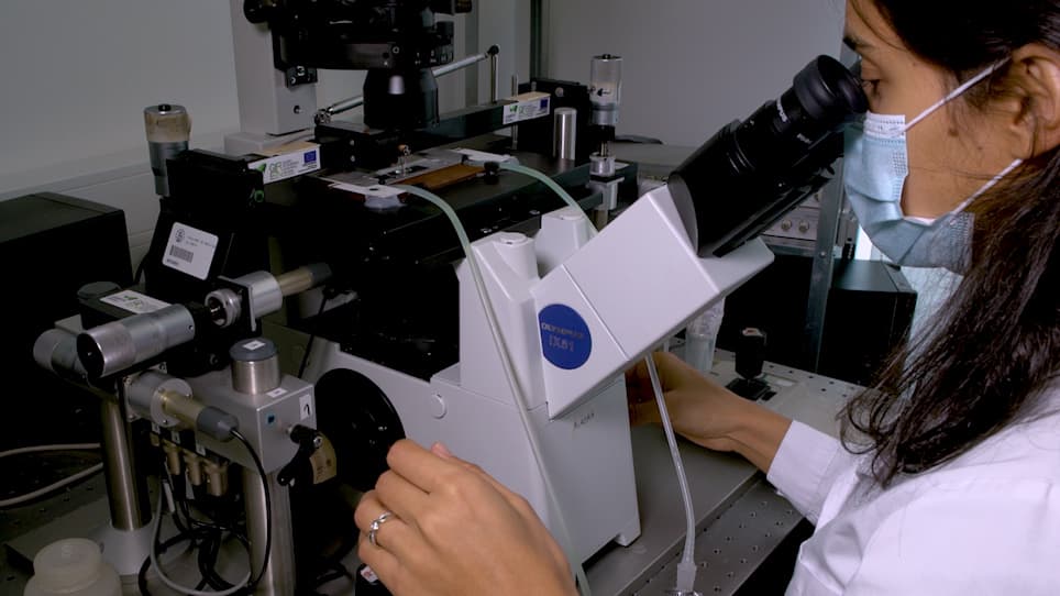 In Vitro Assessment of Cardiac Function Using Skinned Cardiomyocytes