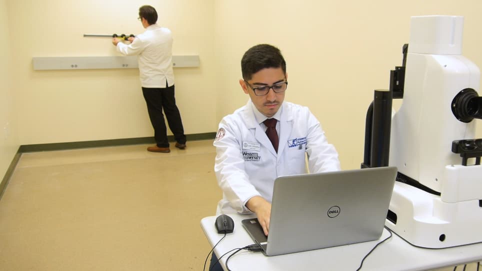 Measurement of Carotenoids in Perifovea using the Macular Pigment Reflectometer