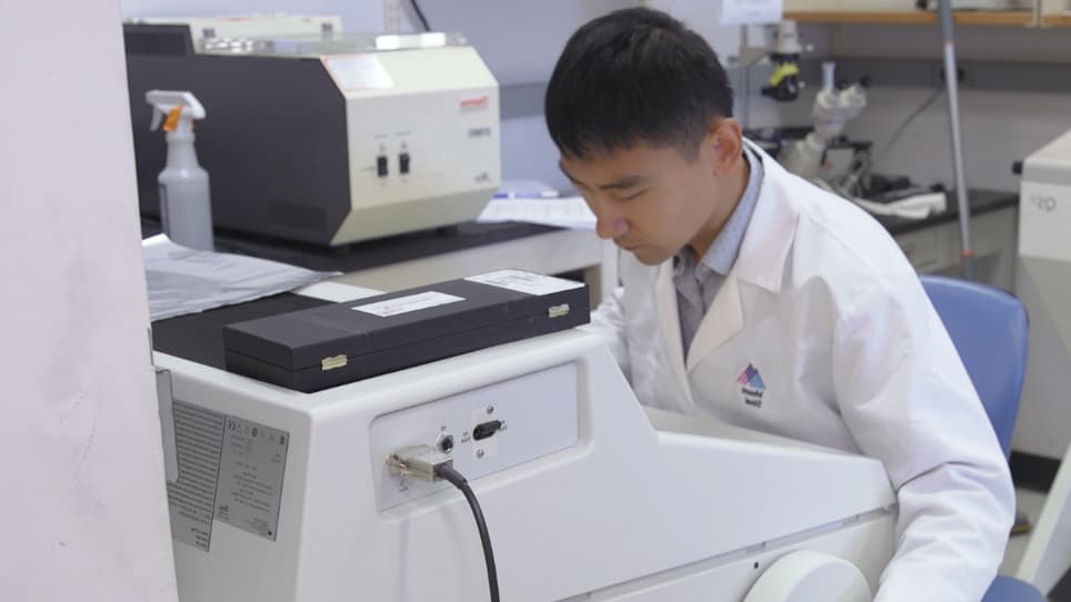 Laser Capture Microdissection of Mouse Embryonic Cartilage and Bone for Gene Expression Analysis