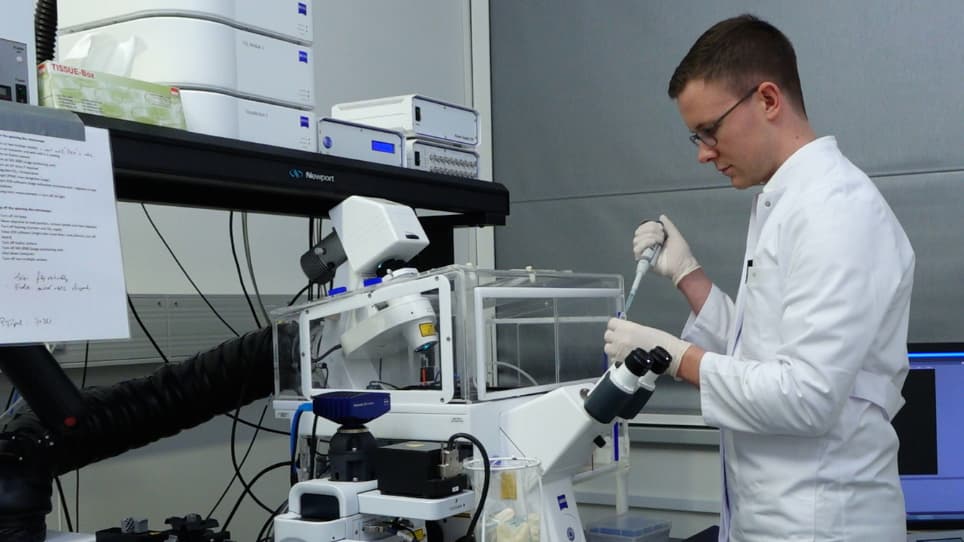 Investigating Intestinal Barrier Breakdown in Living Organoids