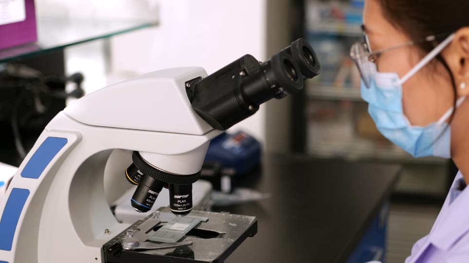 Nucleofection and In Vivo Propagation of Chicken Eimeria Parasites