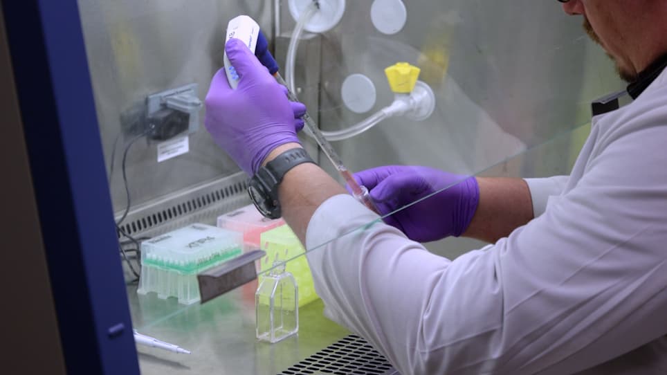 Use of the Pyrimidine Analog, 5-Iodo-2′-Deoxyuridine IdU with Cell Cycle Markers to Establish Cell Cycle Phases in a Mass Cytometry Platform