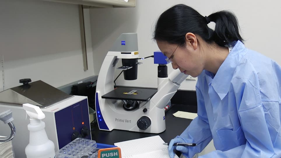 Multidimensional Coculture System to Model Lung Squamous Carcinoma Progression
