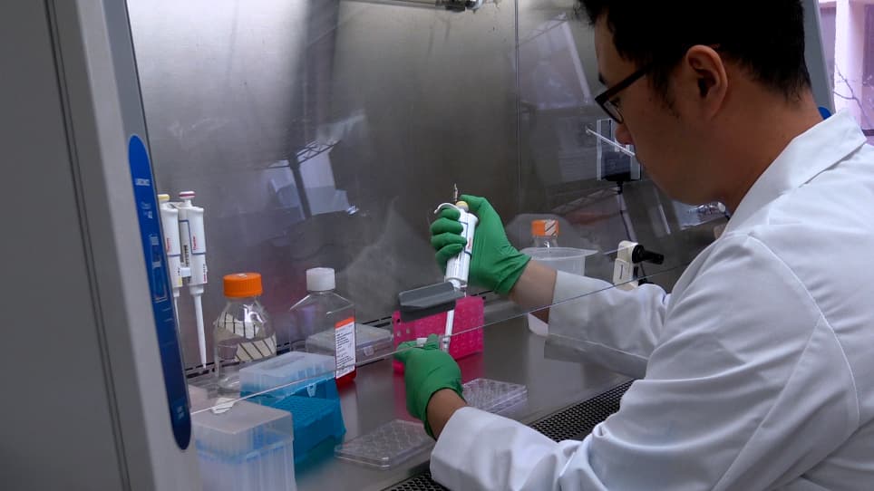 Detection of Total Reactive Oxygen Species in Adherent Cells by 2',7'-Dichlorodihydrofluorescein Diacetate Staining