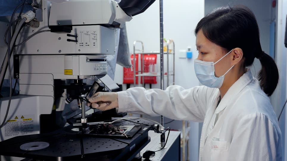 Multiphoton Microscopic Observation of Vessels in Mouse Liver Tissue