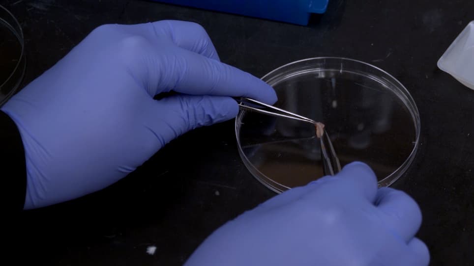 TMT Sample Preparation for Proteomics Facility Submission and Subsequent Data Analysis