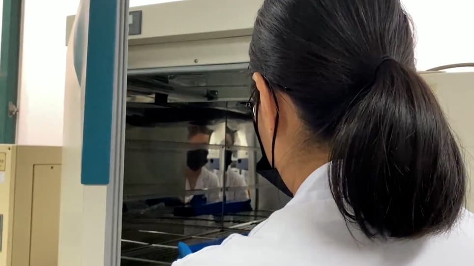 In situ Hybridization for Sipunculus nudus Coelomic Fluid