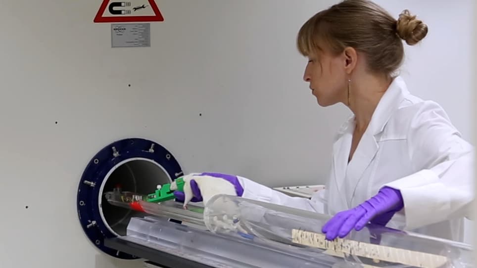 A Benchtop Approach to the Location Specific Blood Brain Barrier Opening using Focused Ultrasound in a Rat Model