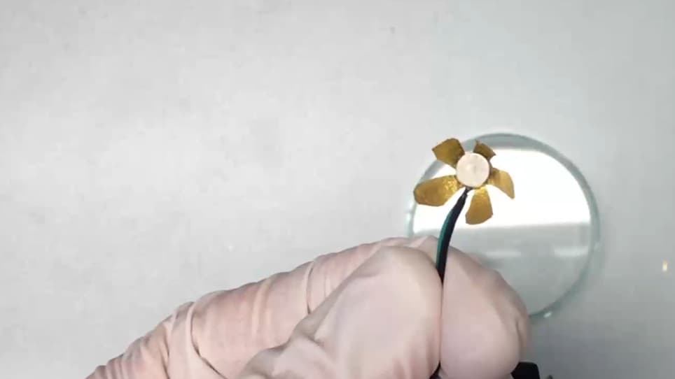 Fabrication of Carbon-Based Ionic Electromechanically Active Soft Actuators