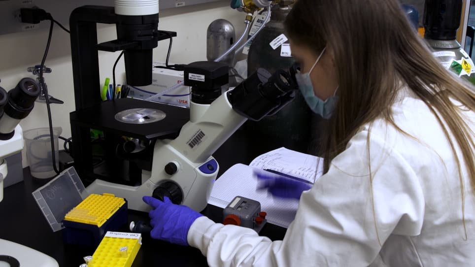 Measuring Transcellular Interactions through Protein Aggregation in a Heterologous Cell System