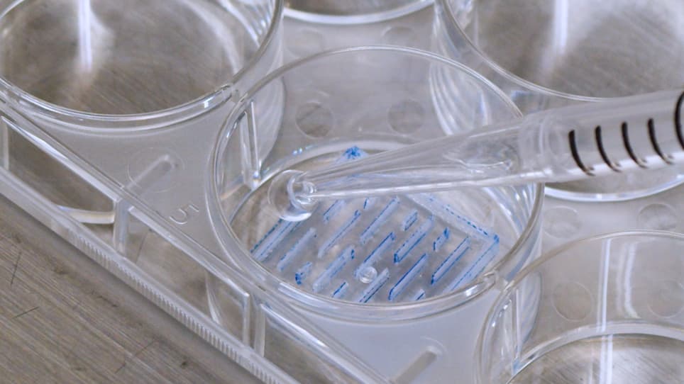 Preparation of Mesh-Shaped Engineered Cardiac Tissues Derived from Human iPS Cells for In Vivo Myocardial Repair