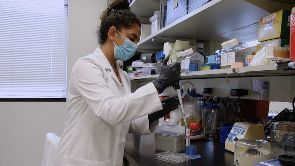 Monitoring Cancer Cell Invasion and T-Cell Cytotoxicity in 3D Culture