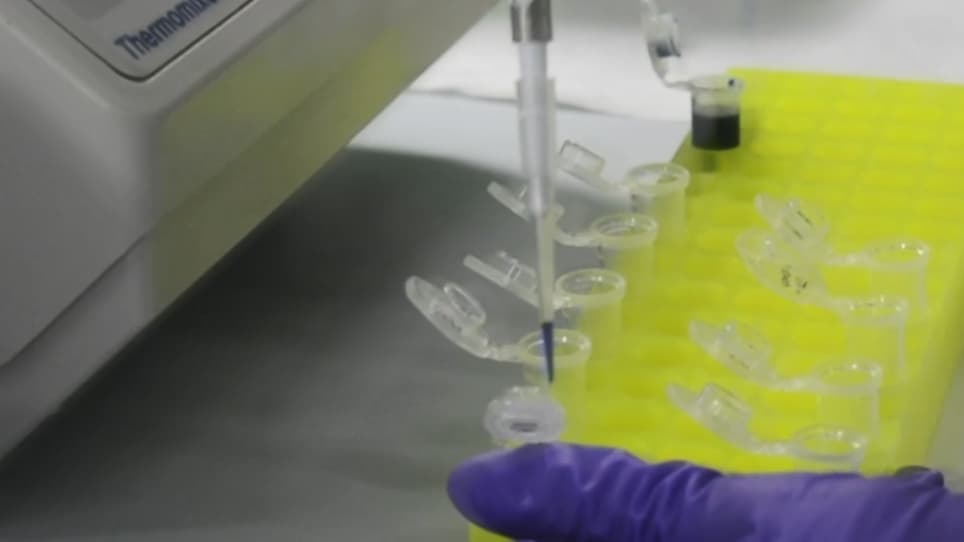 RNA Blot Analysis for the Detection and Quantification of Plant MicroRNAs