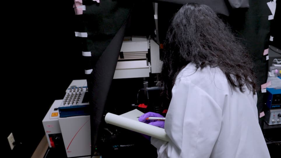 Precise Brain Mapping to Perform Repetitive In Vivo Imaging of Neuro-Immune Dynamics in Mice
