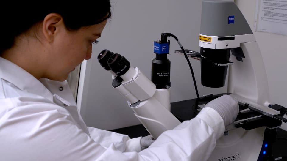 A Patient-Derived Xenograft Model for Venous Malformation