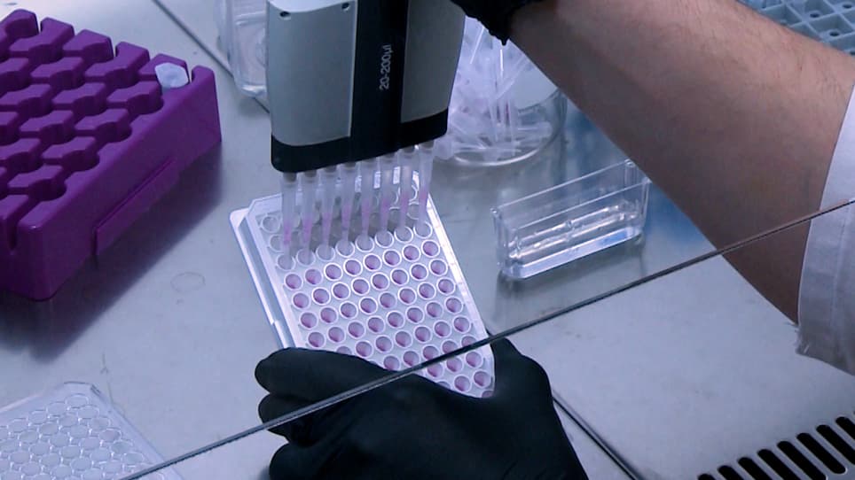 Demonstration of Heterologous Complexes formed by Golgi-Resident Type III Membrane Proteins using Split Luciferase Complementation Assay