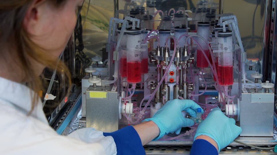 A Multi-Cue Bioreactor to Evaluate the Inflammatory and Regenerative Capacity of Biomaterials under Flow and Stretch