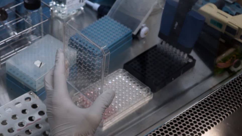 A Culture Method to Maintain Quiescent Human Hematopoietic Stem Cells