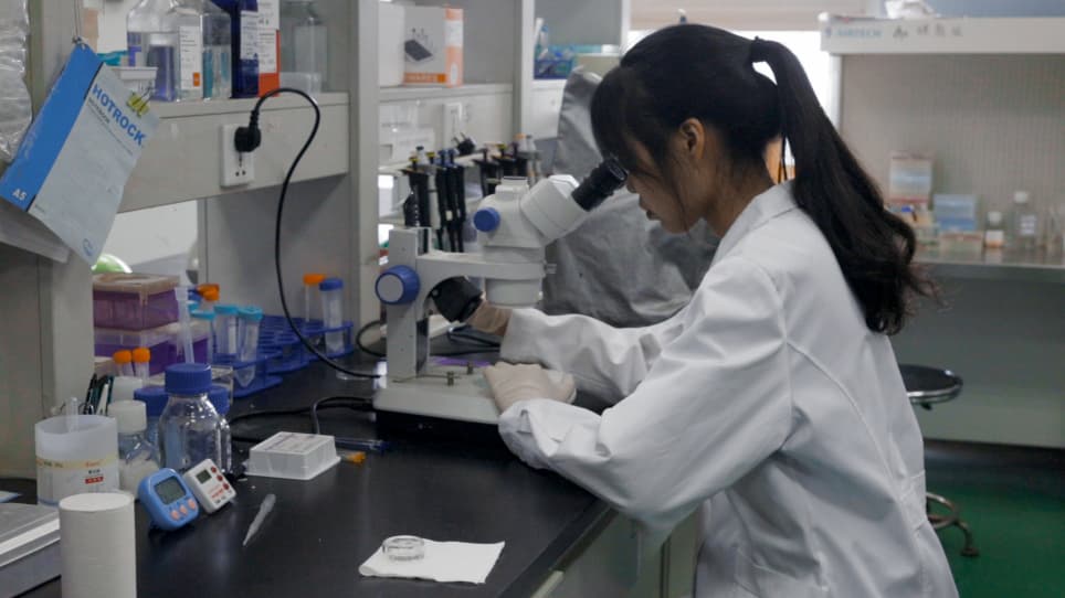 Using Immunofluorescence to Detect PM<sub>2.5</sub>-induced DNA Damage in Zebrafish Embryo Hearts