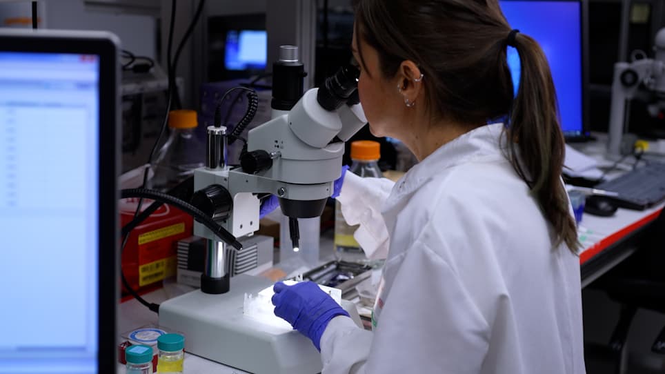 A Step-by-Step Guide to Mosquito Electroantennography