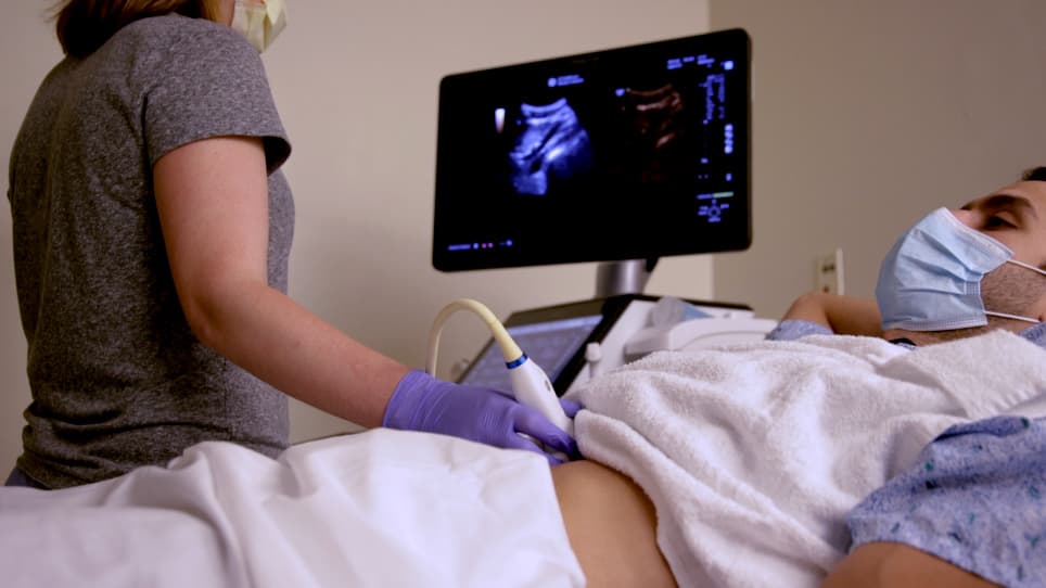 Contrast-Enhanced Subharmonic Aided Pressure Estimation (SHAPE) Using Ultrasound Imaging with a Focus on Identifying Portal Hypertension