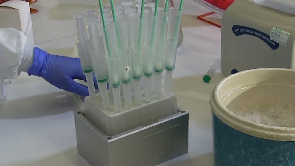 An Economical and Versatile High-Throughput Protein Purification System Using a Multi-Column Plate Adapter