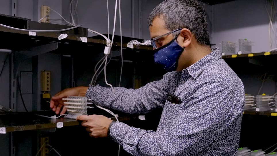 The Sleep Nullifying Apparatus: A Highly Efficient Method of Sleep Depriving Drosophila