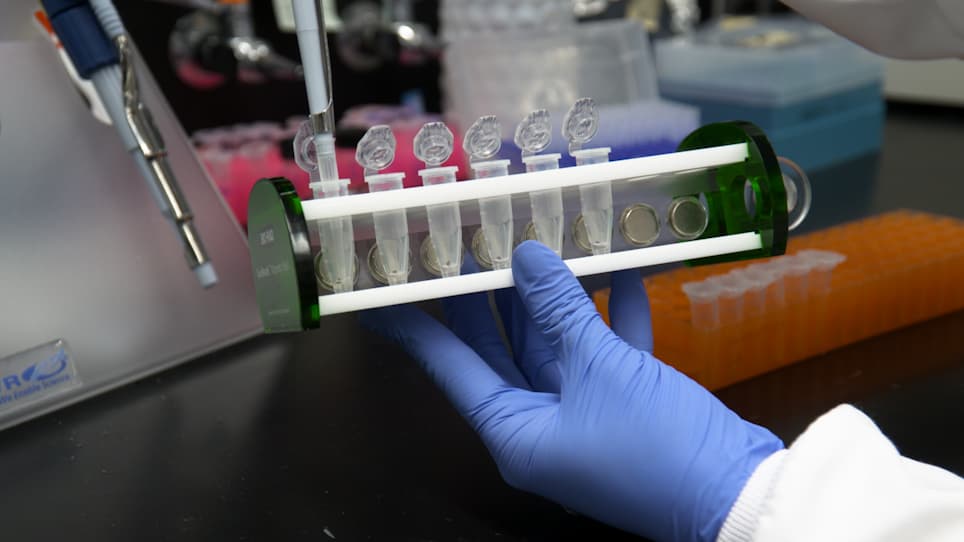 Optimized Incorporation of Alkynyl Fatty Acid Analogs for the Detection of Fatty Acylated Proteins using Click Chemistry