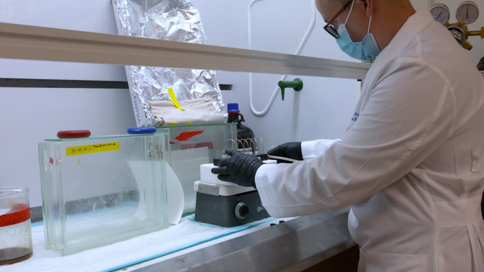 Analysis of Neutral Lipid Synthesis in Saccharomyces cerevisiae by Metabolic Labeling and Thin Layer Chromatography