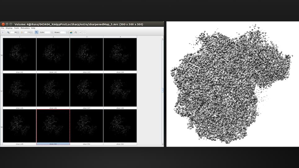 Cryo-EM and Single-Particle Analysis with Scipion