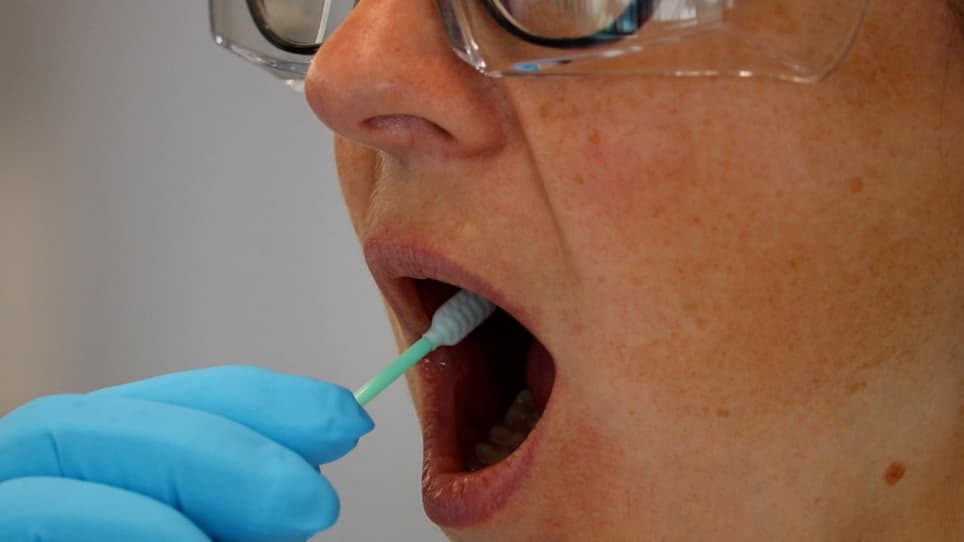 Application of DNA Fingerprinting using the D1S80 Locus in Lab Classes