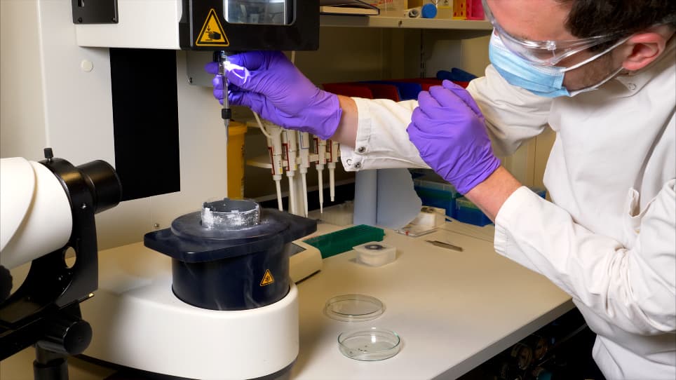 A Sample Preparation Pipeline for Microcrystals at the VMXm Beamline