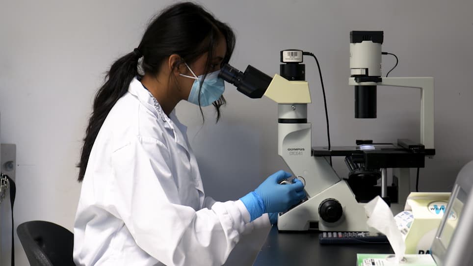 Assessing Functional Metrics of Skeletal Muscle Health in Human Skeletal Muscle Microtissues