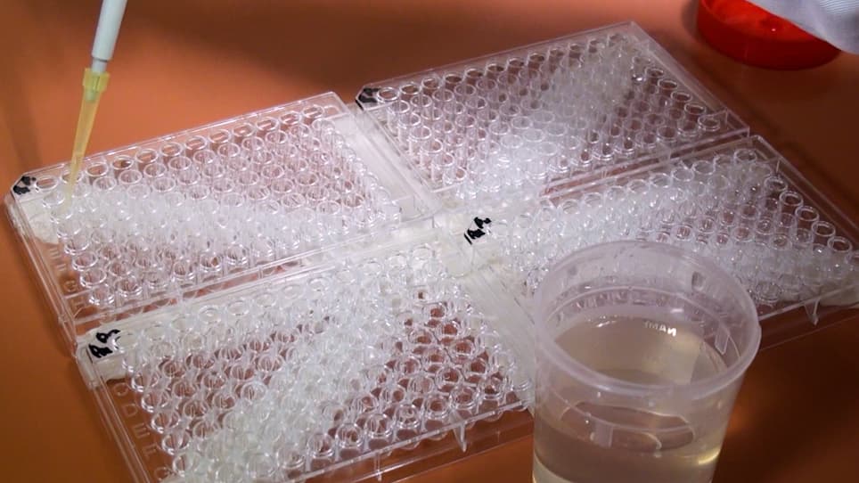 Quadruple-Checkerboard: A Modification of the Three-Dimensional Checkerboard for Studying Drug Combinations