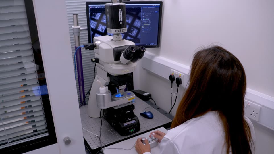 Preparing Lamellae from Vitreous Biological Samples Using a Dual-Beam Scanning Electron Microscope for Cryo-Electron Tomography