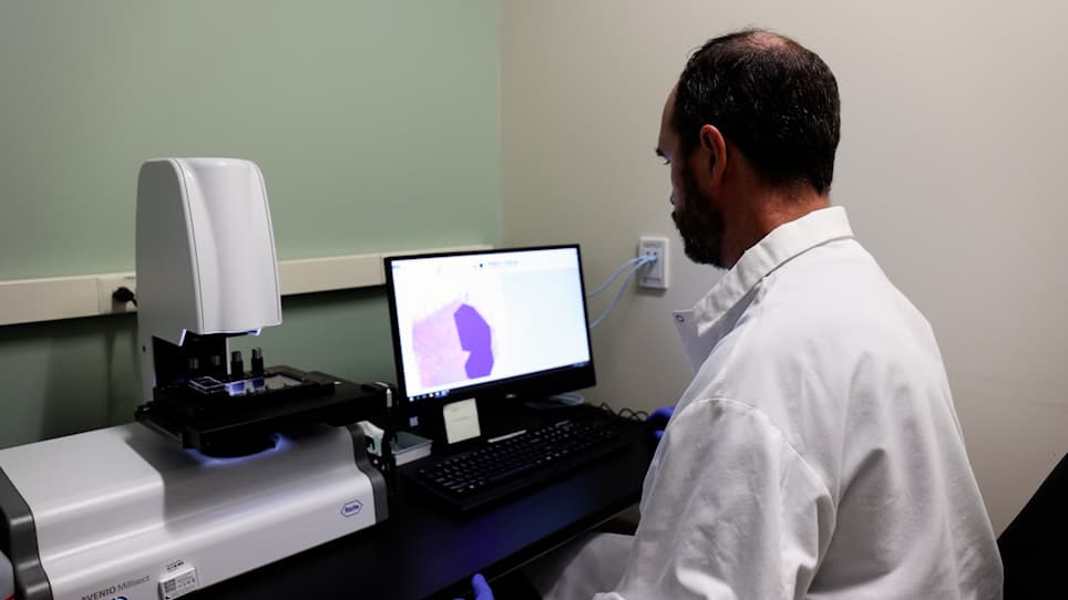 Automated Dissection Protocol for Tumor Enrichment in Low Tumor Content Tissues