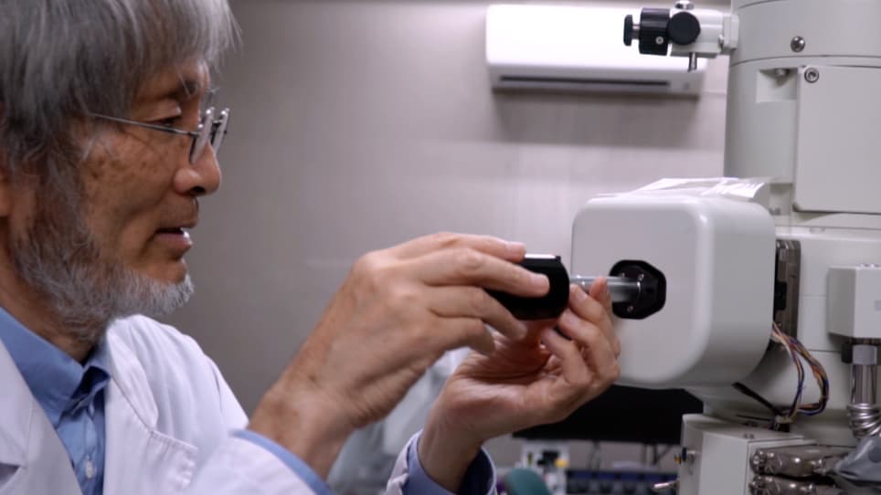 Rapid Freezing using Sandwich Freezing Device for Good Ultrastructural Preservation of Biological Specimens in Electron Microscopy