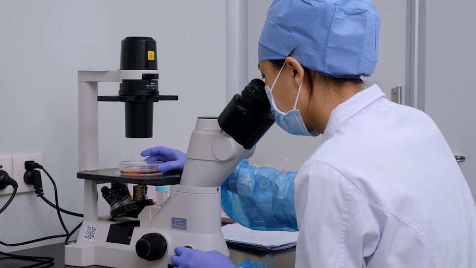 Retinal Organoid Induction System for Derivation of 3D Retinal Tissues from Human Pluripotent Stem Cells