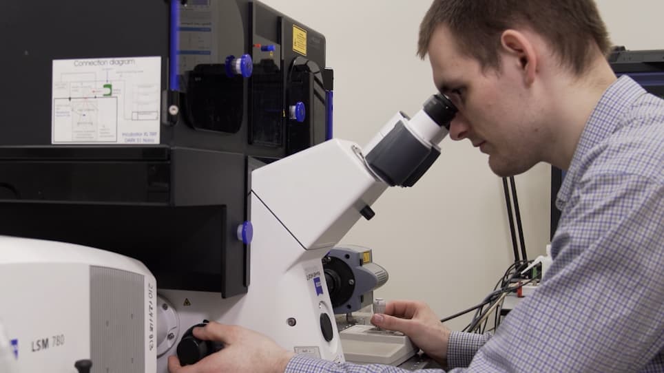 Confocal Laser Scanning Microscopy-Based Quantitative Analysis of <em>Aspergillus fumigatus</em> Conidia Distribution in Whole-Mount Optically Cleared Mouse Lung