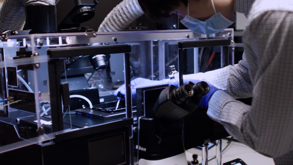 Laser Micro-Irradiation to Study DNA Recruitment During S Phase