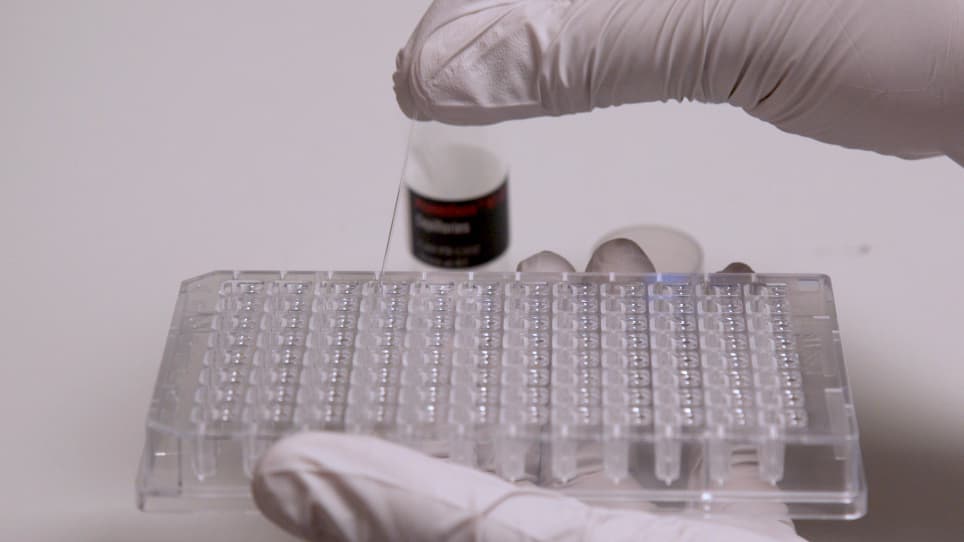 Nano-Differential Scanning Fluorimetry for Screening in Fragment-based Lead Discovery