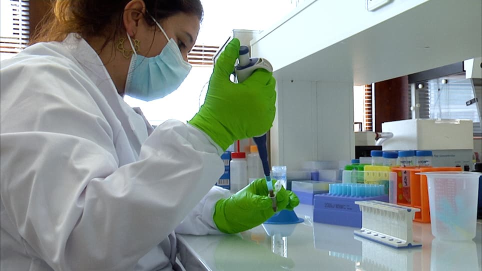 Identification of RNAs Engaged in Direct RNA-RNA Interaction with a Long Non-Coding RNA