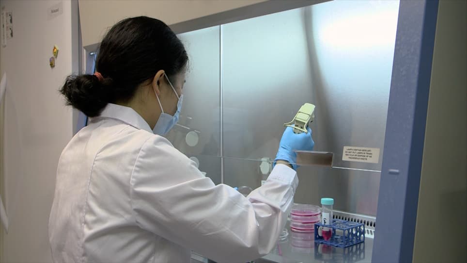 Density Gradient Ultracentrifugation for Investigating Endocytic Recycling in Mammalian Cells