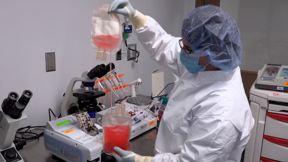 Expansion and Enrichment of Gamma-Delta γδ T Cells from Apheresed Human Product