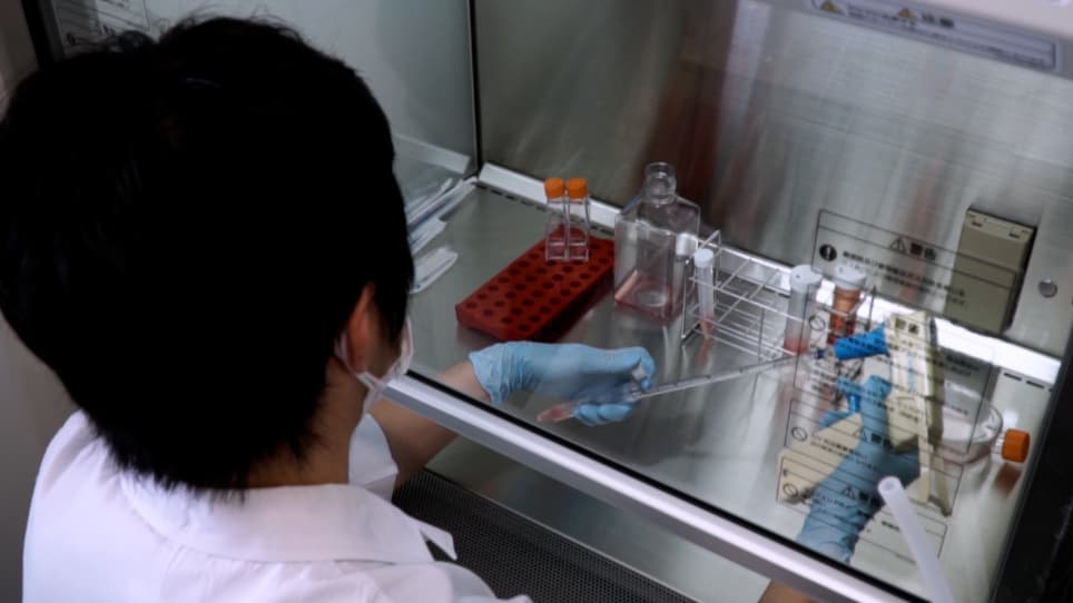 High-Throughput <em>In Vitro</em> Assay using Patient-Derived Tumor Organoids