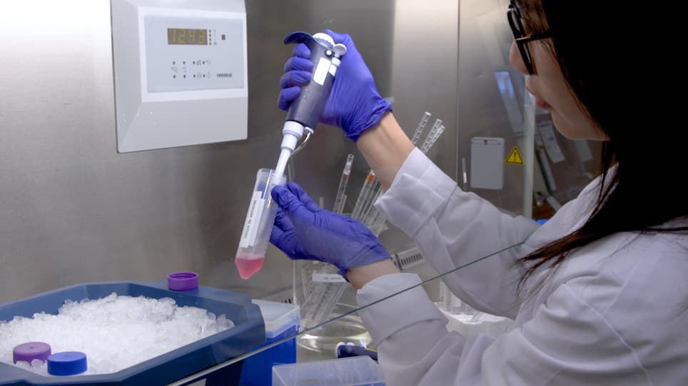 Growth, Purification, and Titration of Oncolytic Herpes Simplex Virus