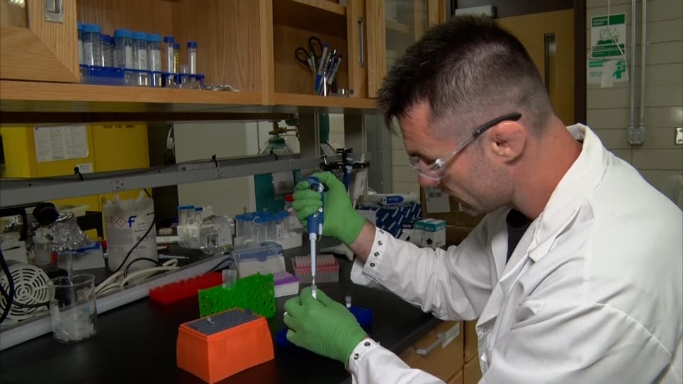 Rapid, Enzymatic Methods for Amplification of Minimal, Linear Templates for Protein Prototyping using Cell-Free Systems
