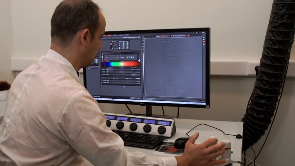 Quantitative Analysis of Aspergillus nidulans Growth Rate using Live Microscopy and Open-Source Software