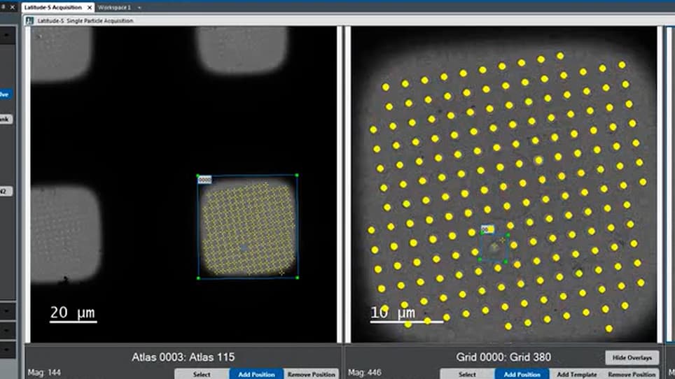 User-friendly, High-throughput, and Fully Automated Data Acquisition Software for Single-particle Cryo-electron Microscopy