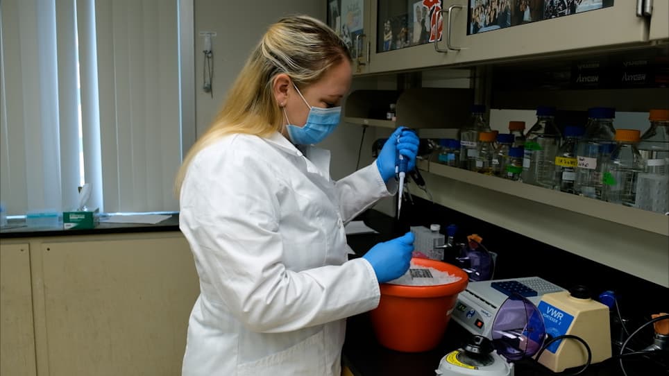 Reconstitution of Msp1 Extraction Activity with Fully Purified Components